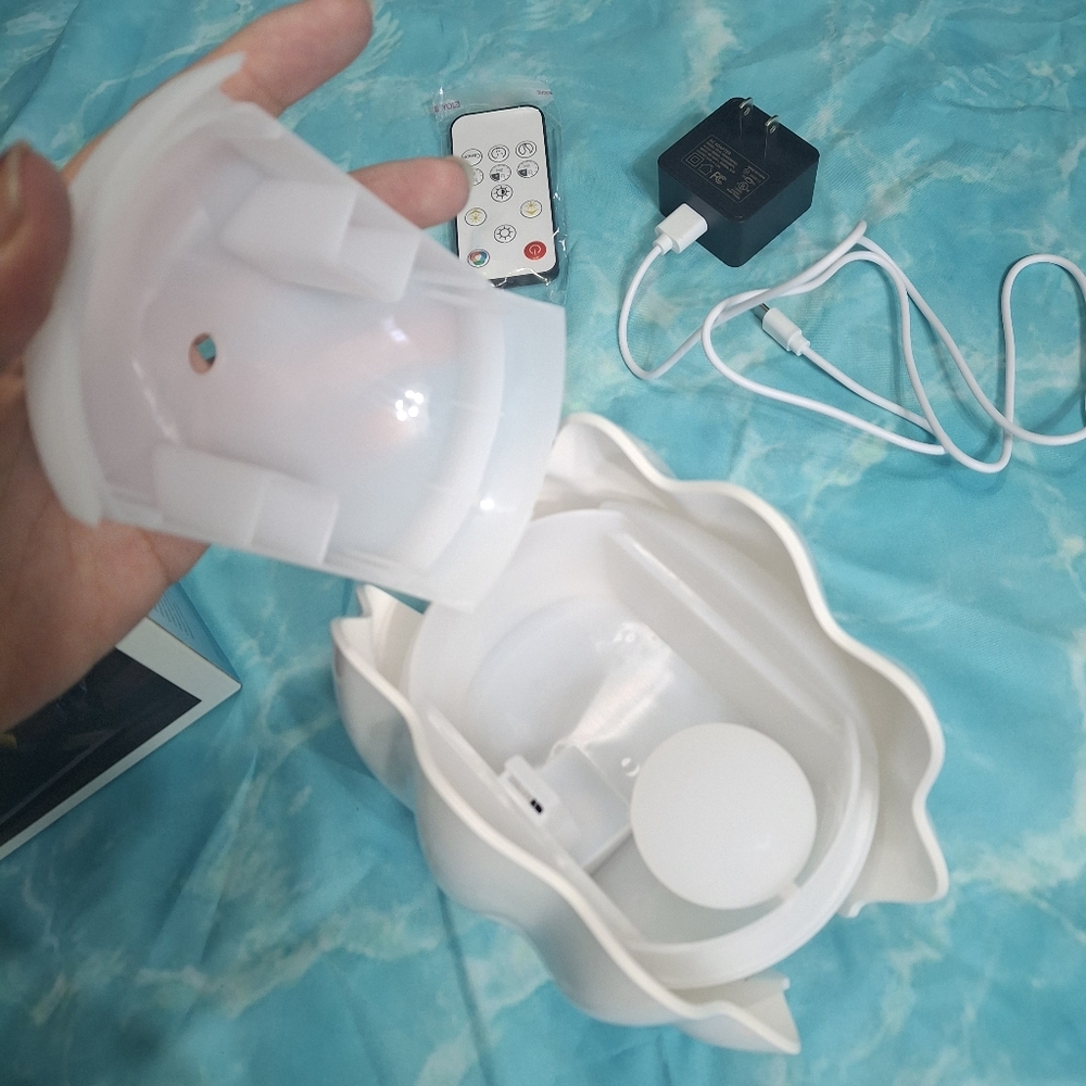 Sea Shell Essential Oil Diffuser - Picture 4 of 7
